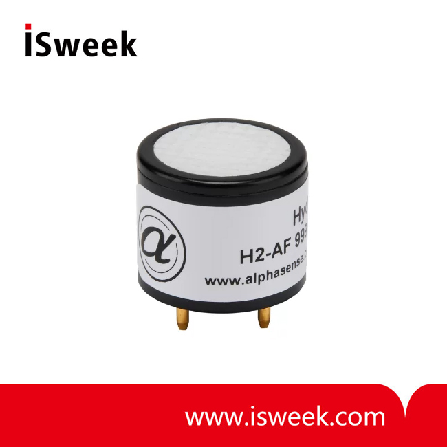 Hydrogen Sensor (H2 Sensor)
